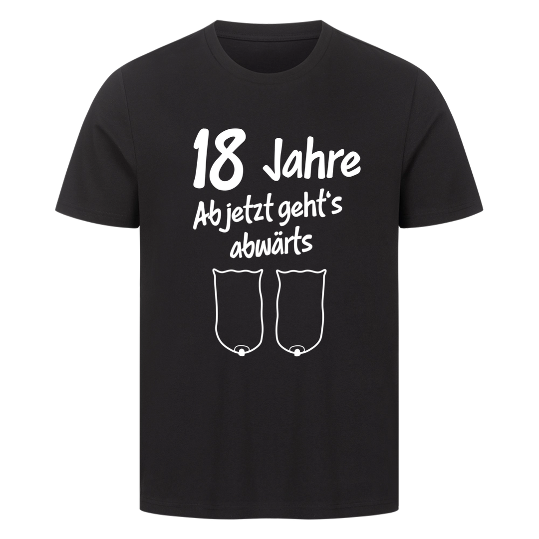 "Ab jetzt geht's abwärts" Premium T-Shirt PERSONALISIERBAR