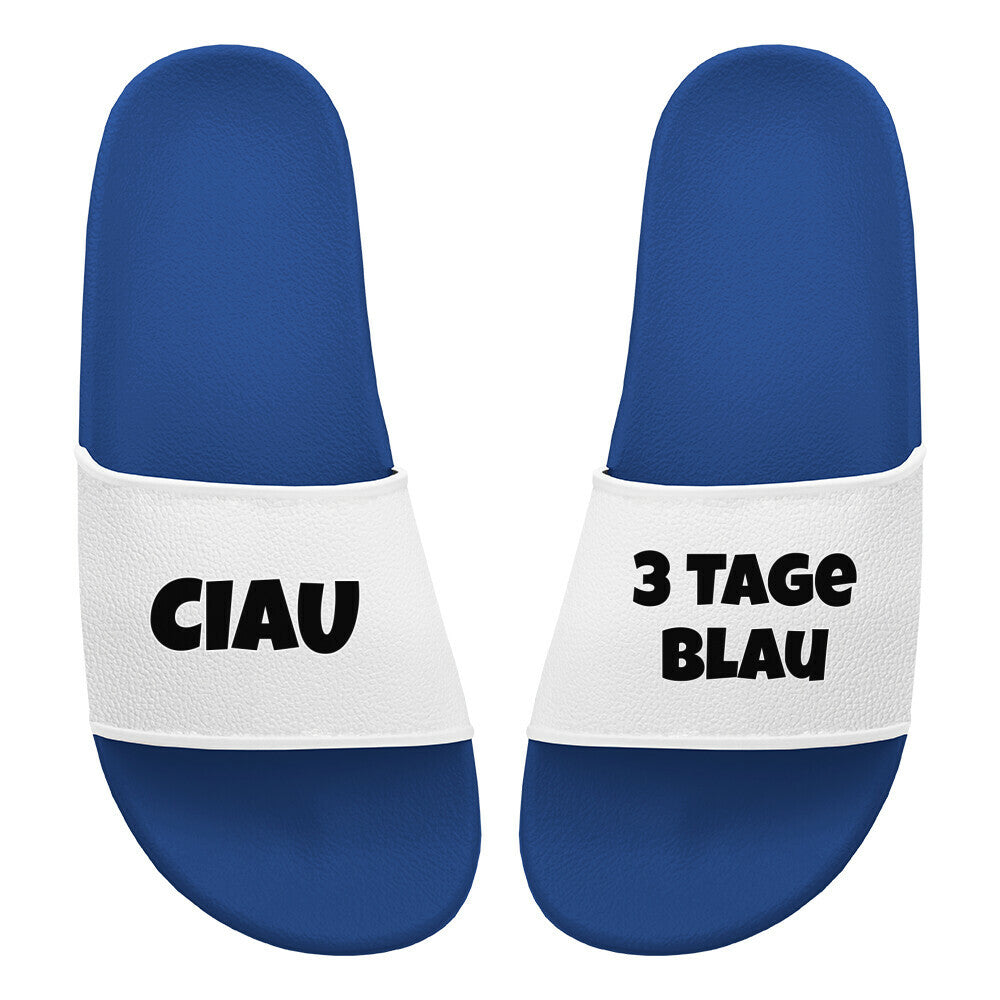 Image for color: blau
