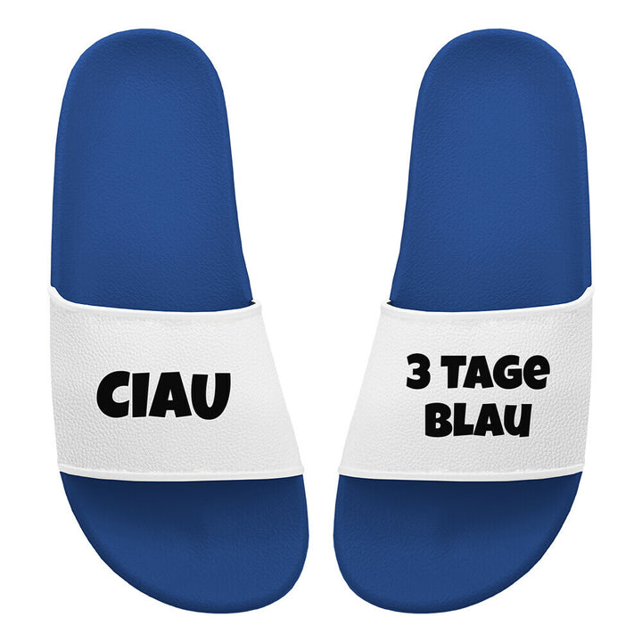 Image for color: blau