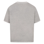 washed grey back